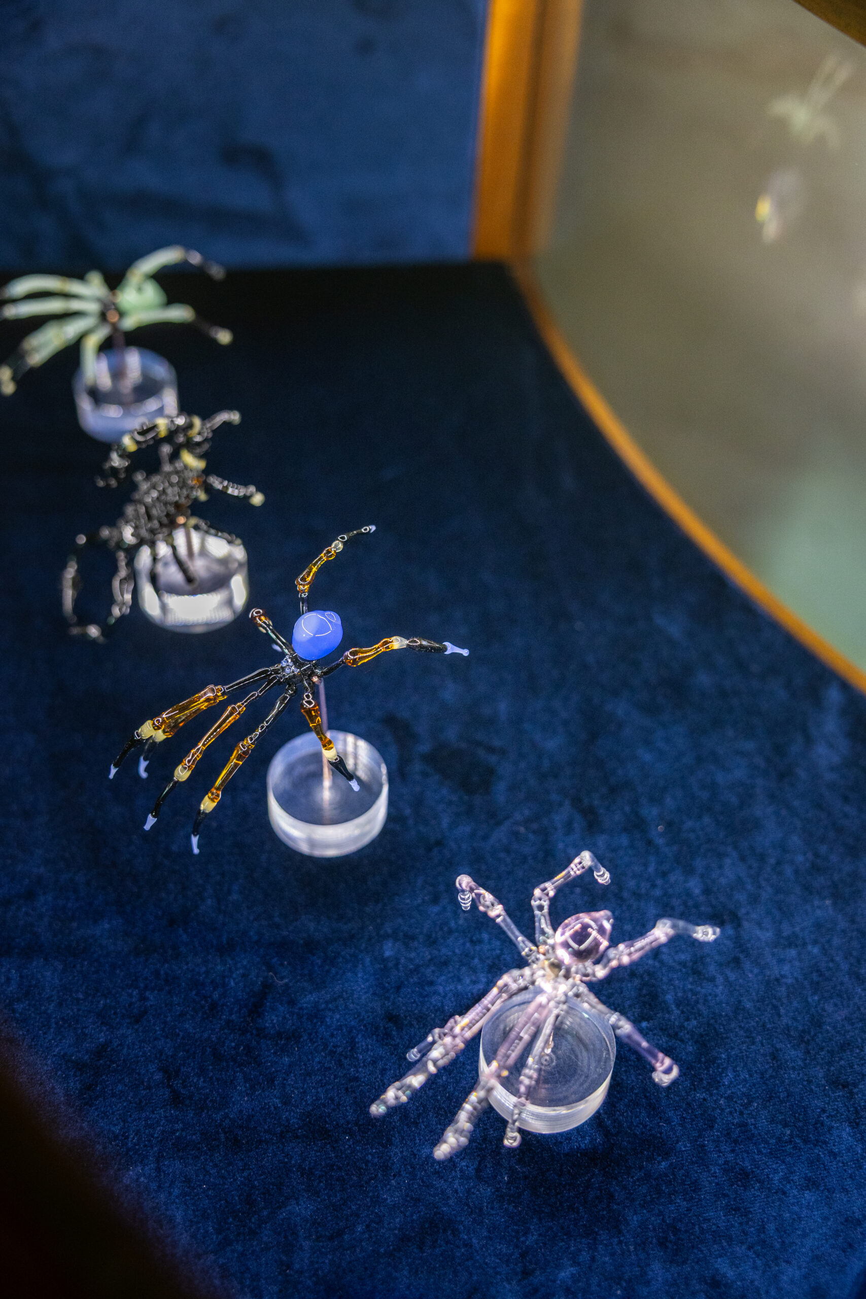 Projet « insectes »